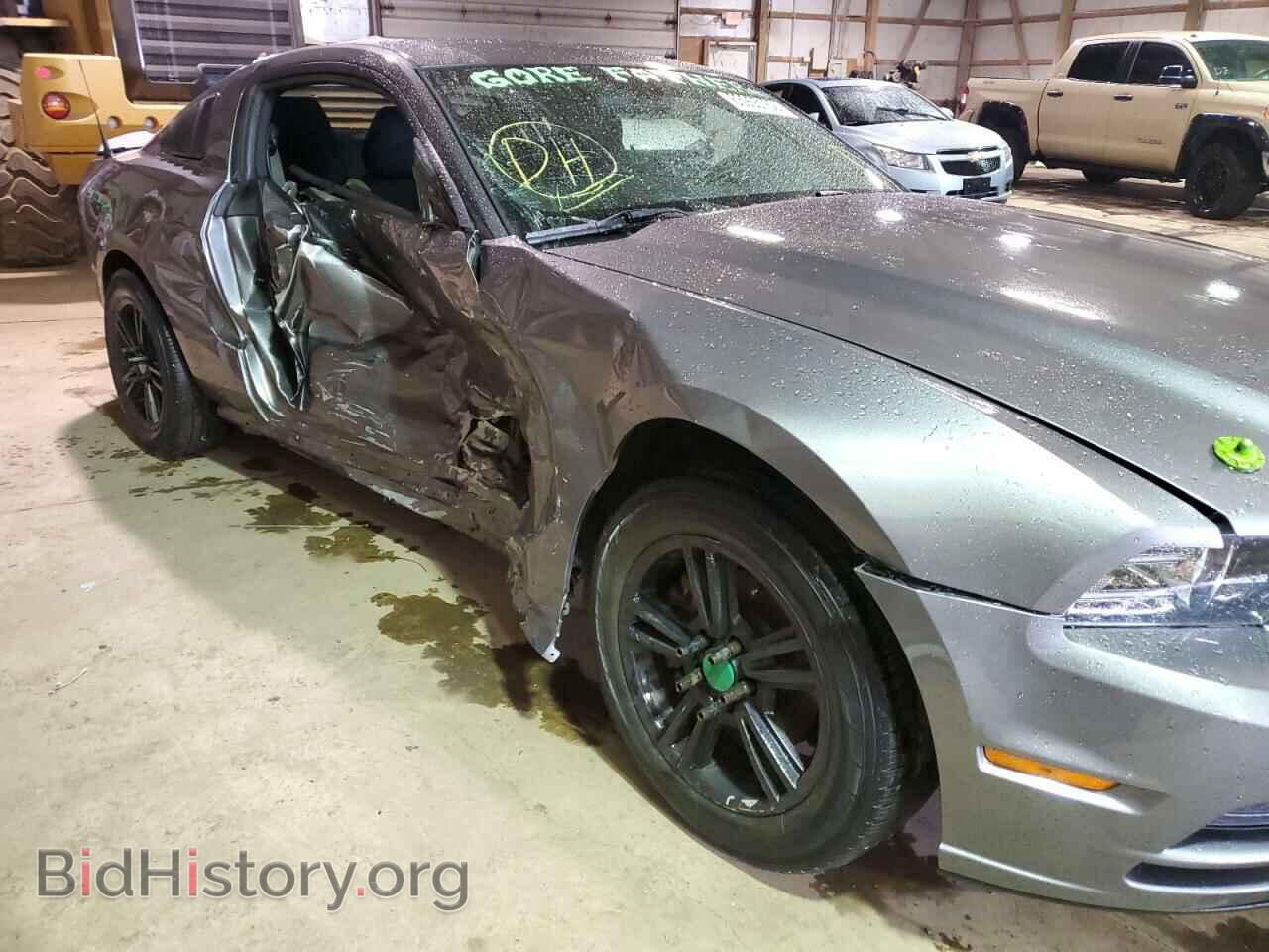 2014 FORD MUSTANG - VIN: 1ZVBP8AM8E5315656 - Фото 9