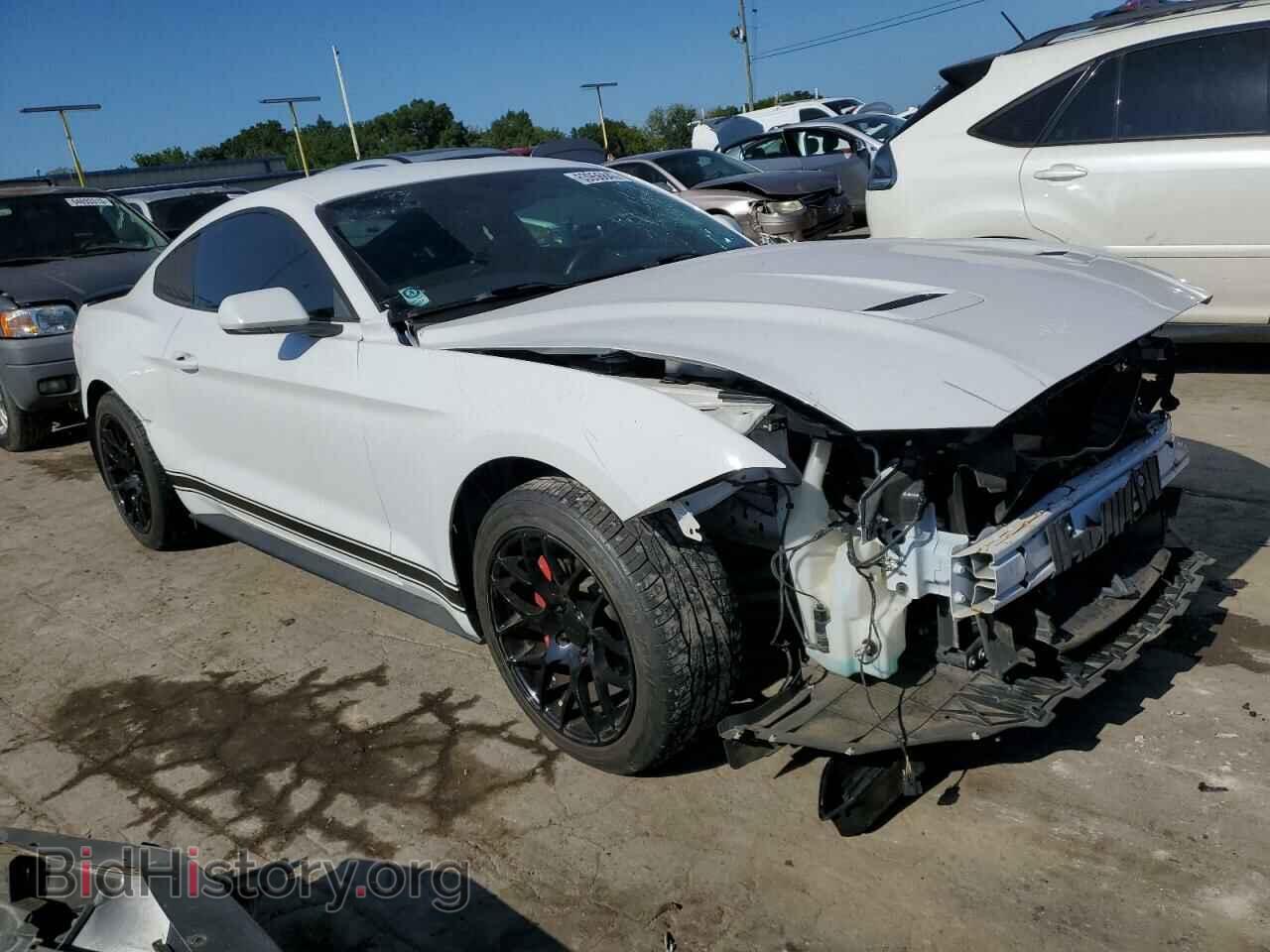 2019 FORD ALL Models - VIN: 1FA6P8TH0K5191453 - Фото 4