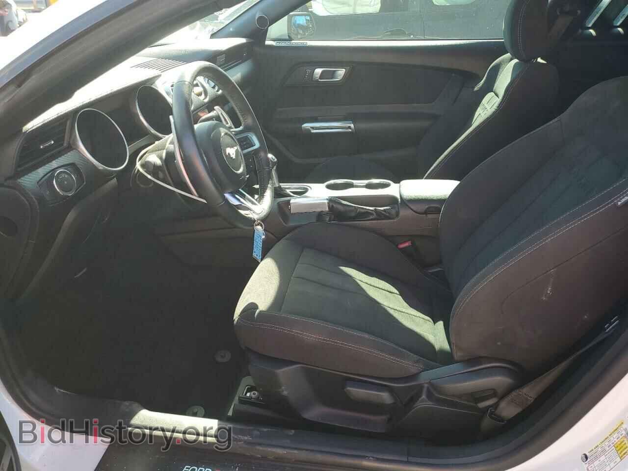 2019 FORD ALL Models - VIN: 1FA6P8TH0K5191453 - Фото 7