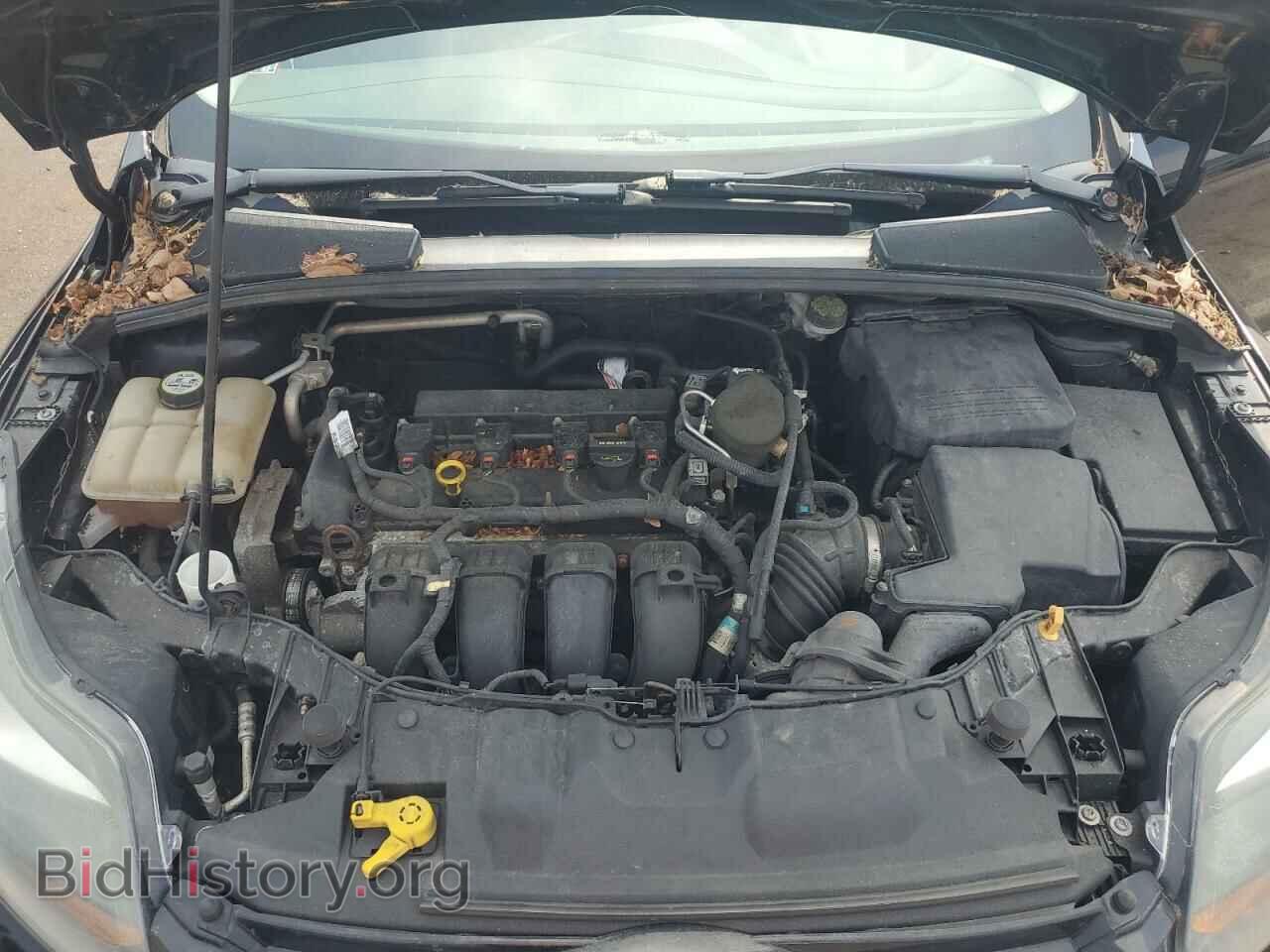 2013 FORD FOCUS - VIN: 1FADP3J26DL343789 - Фото 11