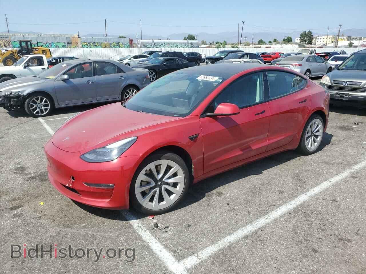 Photo 5YJ3E1EB1MF028279 - TESLA MODEL 3 2021