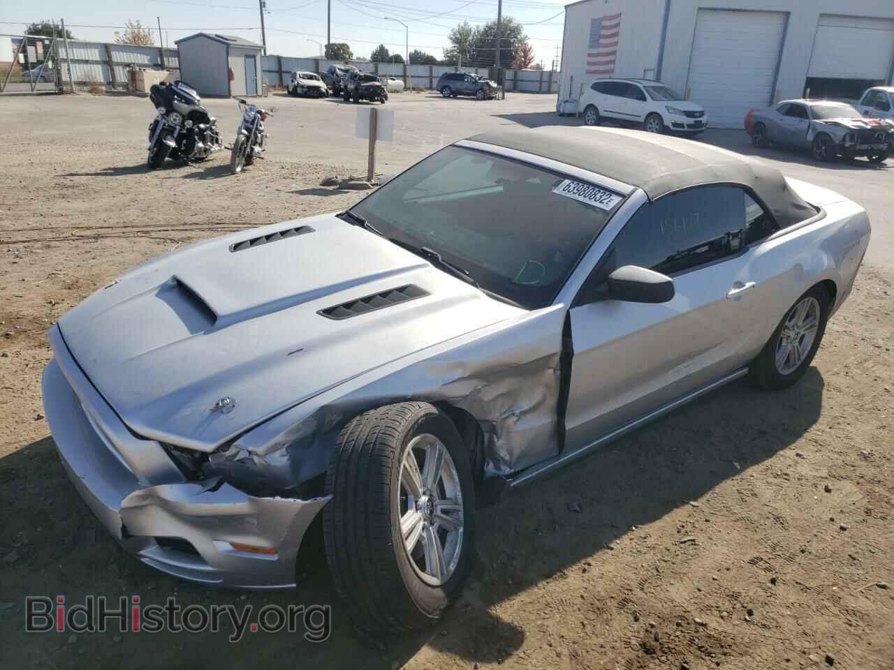 2013 FORD MUSTANG - VIN: 1ZVBP8EM5D5224594 - Фото 2