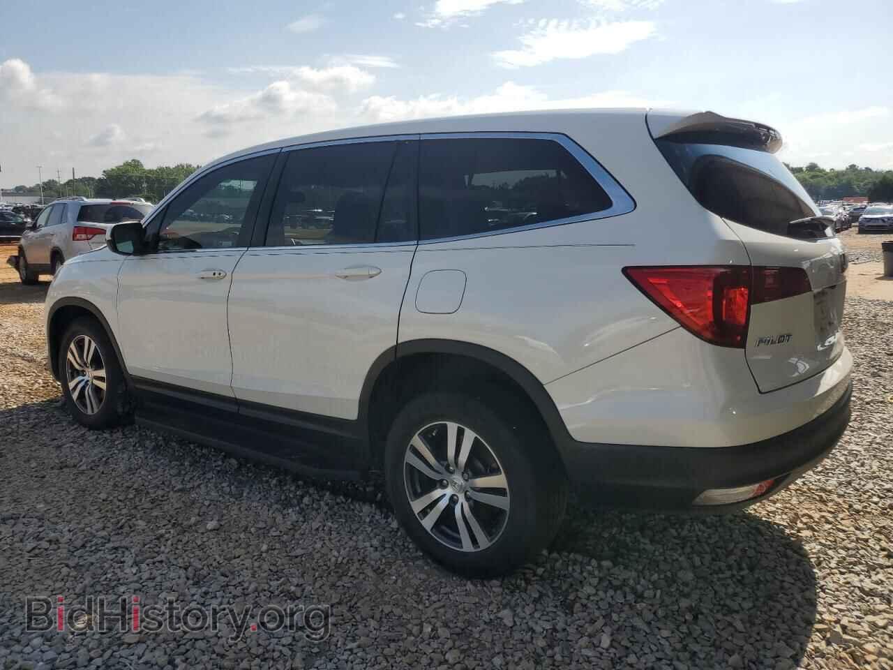2017 HONDA PILOT - VIN: 5FNYF6H50HB094334 - Фото 2