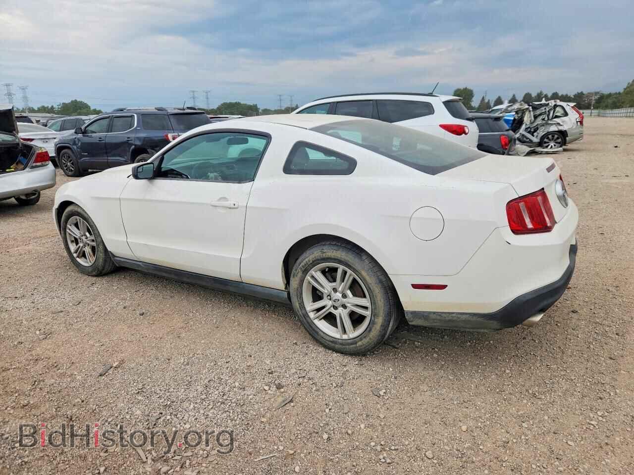 2012 FORD MUSTANG - VIN: 1ZVBP8AM6C5281052 - Фото 2