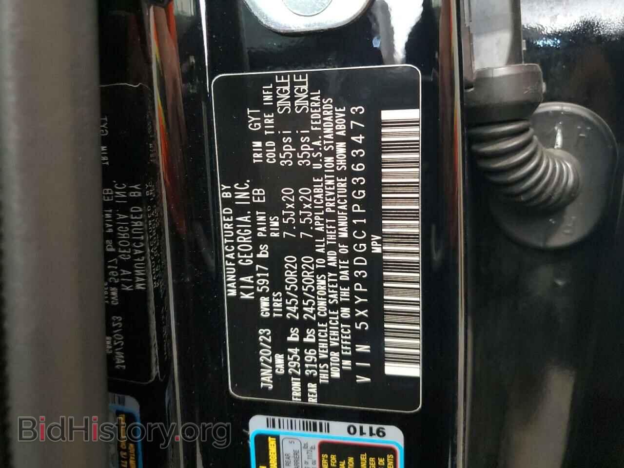 2023 KIA TELLURIDE - VIN: 5XYP3DGC1PG363473 - Фото 13