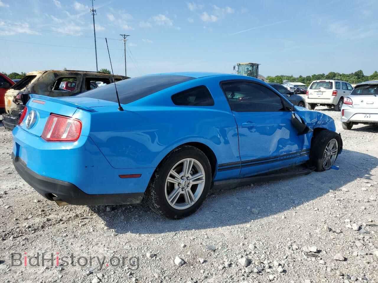 2010 FORD ALL Models - VIN: 1ZVBP8AN8A5105528 - Фото 3