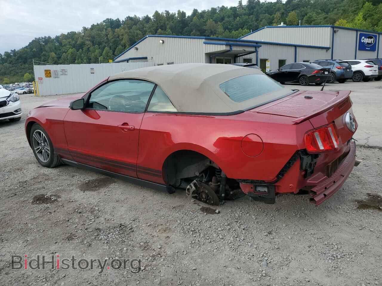 2010 FORD ALL Models - VIN: 1ZVBP8EN8A5137132 - Фото 2