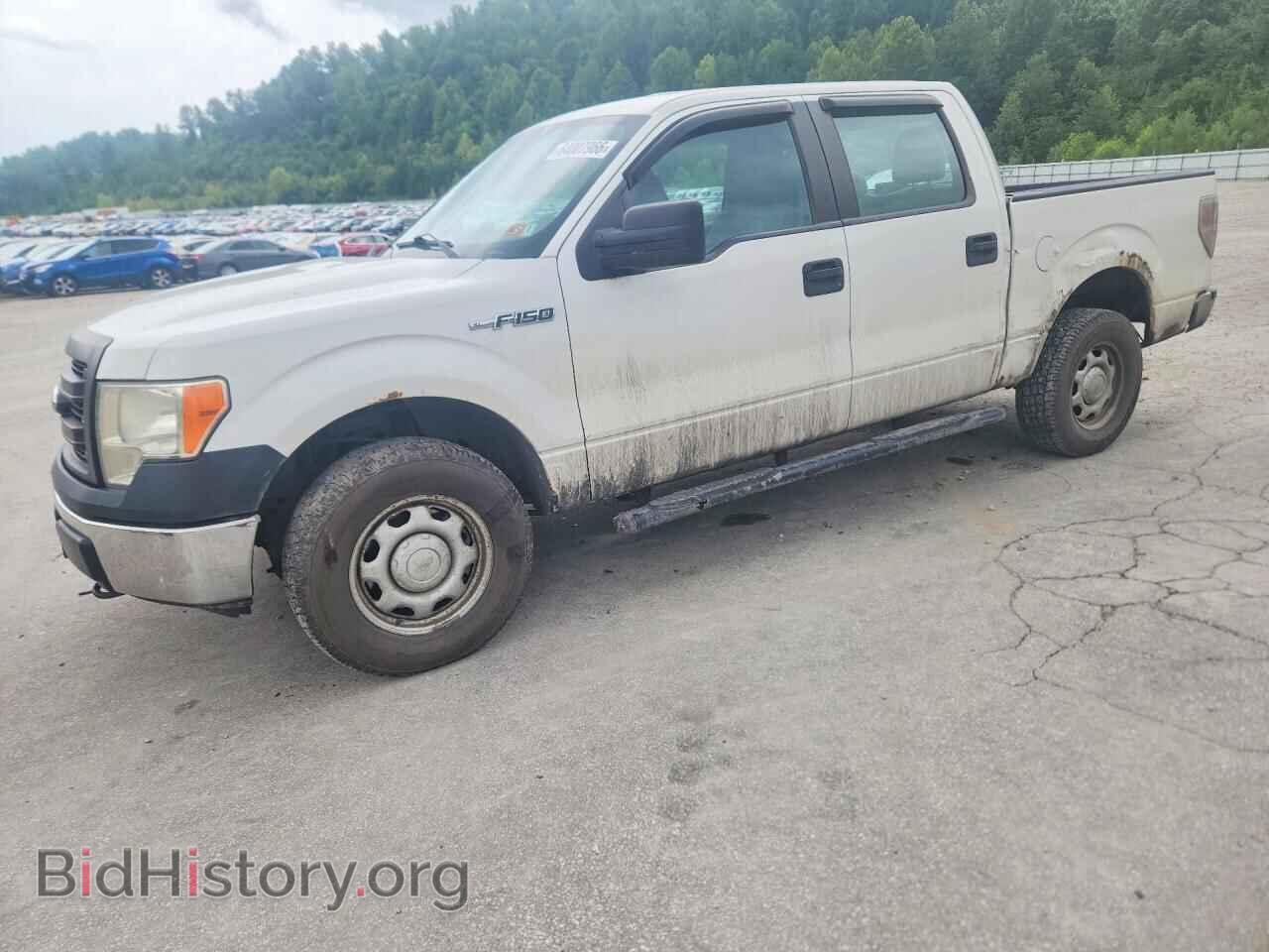 Фотография 1FTFW1EF3DFC86599 - FORD F150 2013