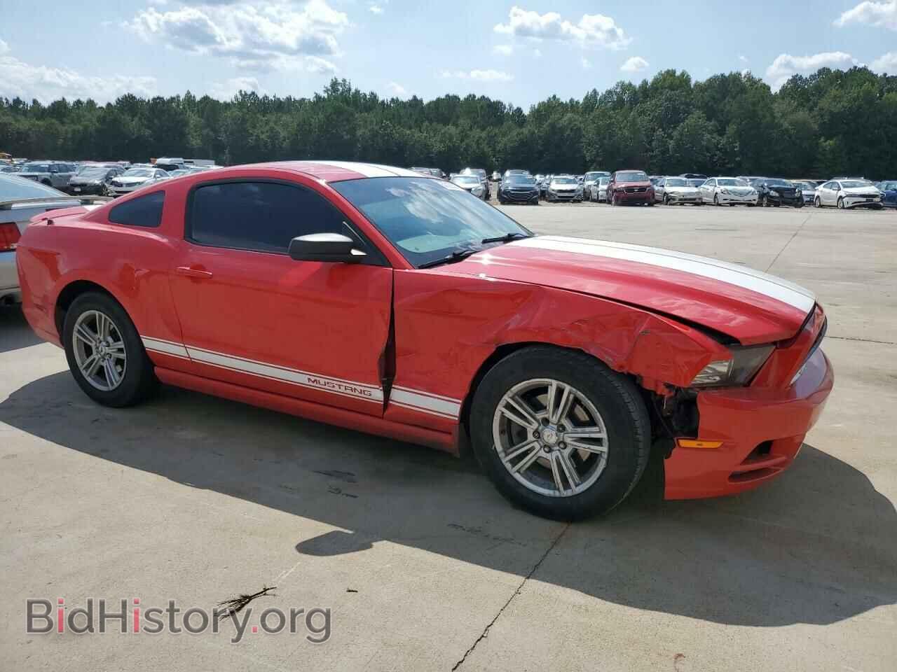 2013 FORD ALL Models - VIN: 1ZVBP8AM3D5202275 - Фото 4