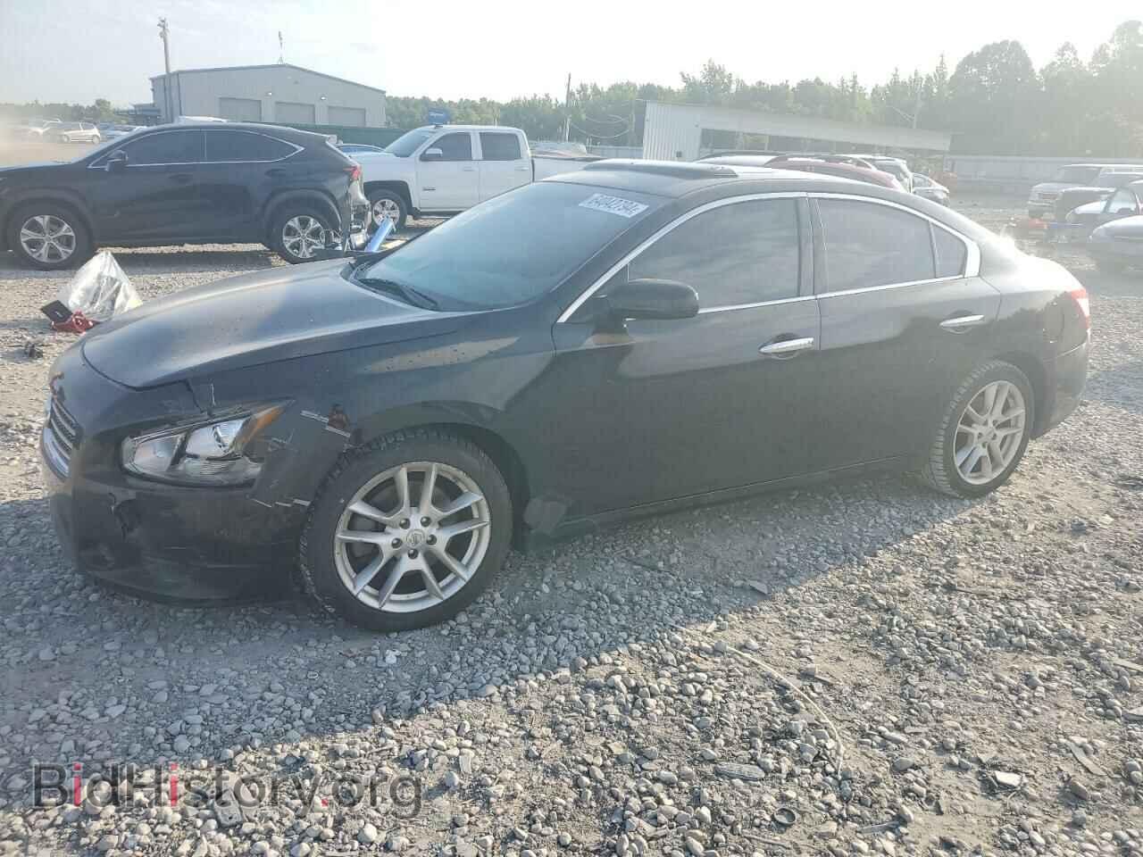 Фотография 1N4AA5AP4BC846892 - NISSAN MAXIMA 2011