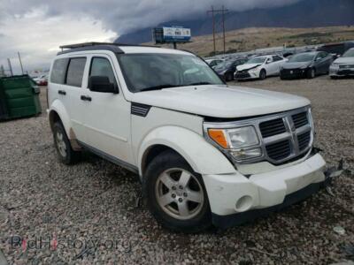 2008 Dodge NITRO SXT, белый — VIN 1D8GU28K48W179092, Copart