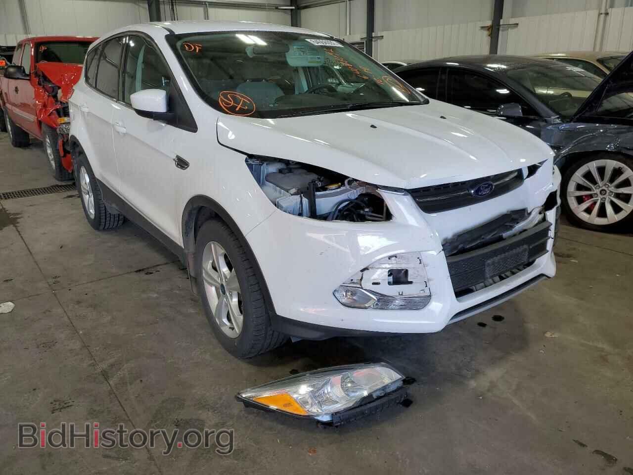 Фотография 1FMCU0GX9DUA59059 - FORD ESCAPE 2013