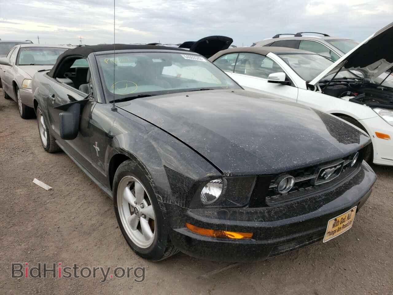 Photo 1ZVHT84NX75310245 - FORD MUSTANG 2007