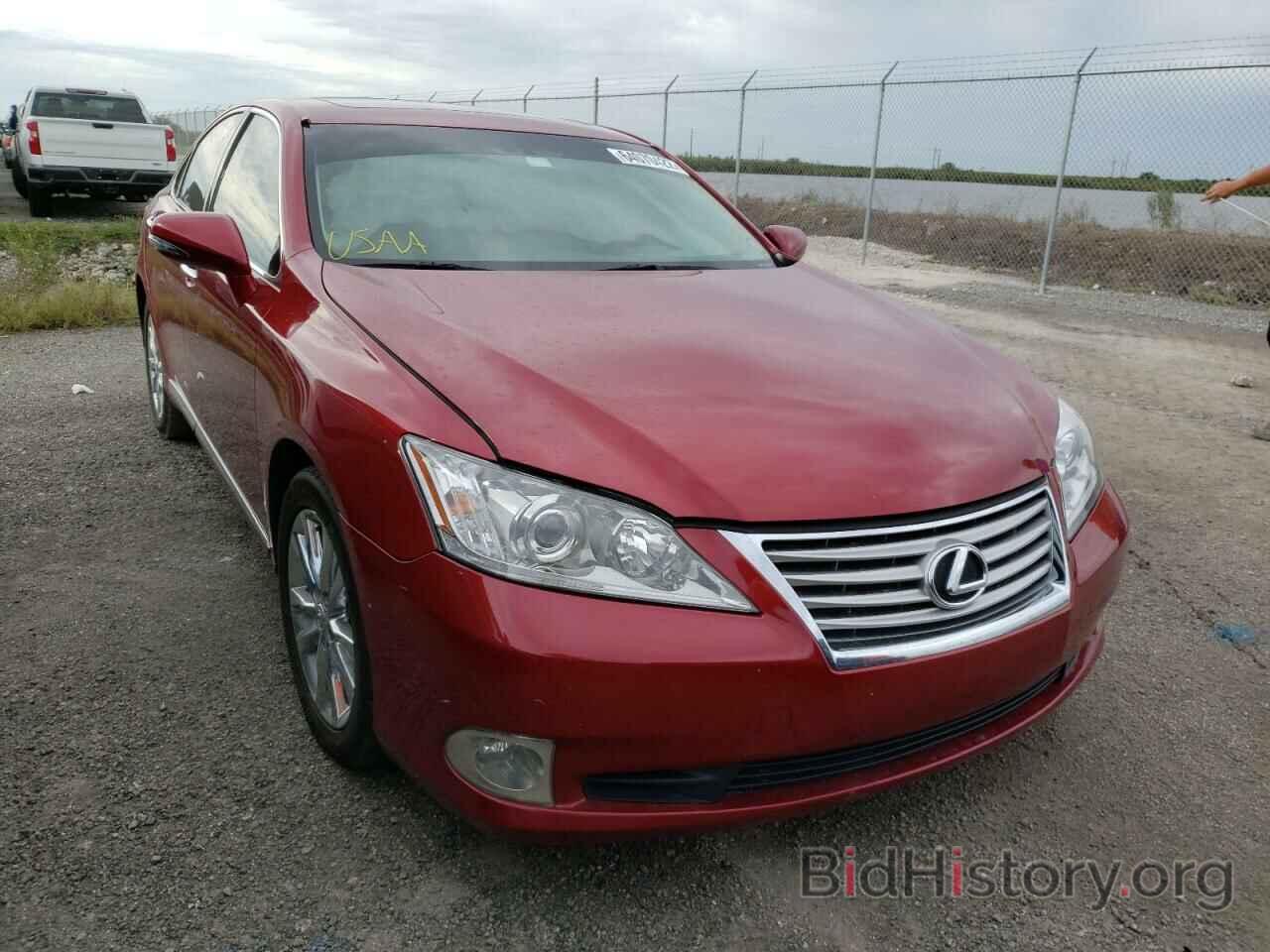 Фотография JTHBK1EG7A2378383 - LEXUS ES350 2010