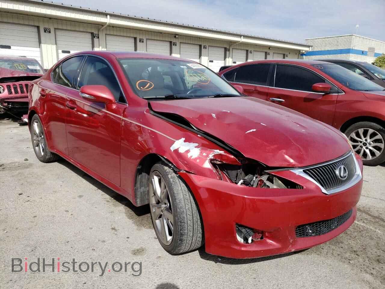 Фотография JTHBK262995106985 - LEXUS IS 2009