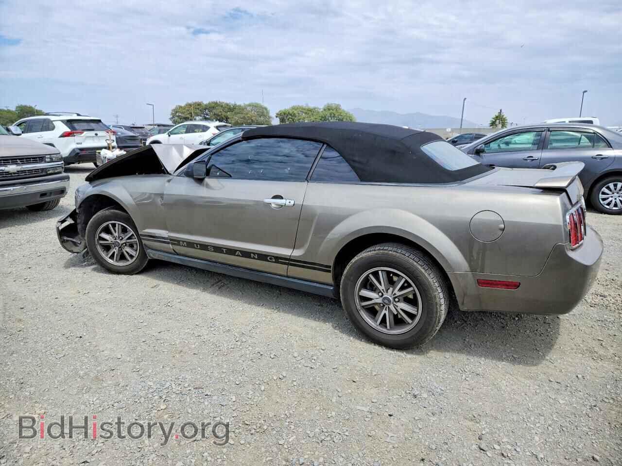 2005 FORD MUSTANG - VIN: 1ZVHT84N855256876 - Фото 2