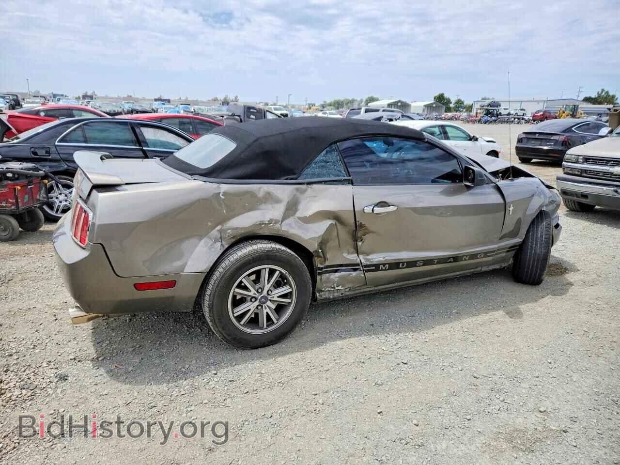 2005 FORD MUSTANG - VIN: 1ZVHT84N855256876 - Фото 3