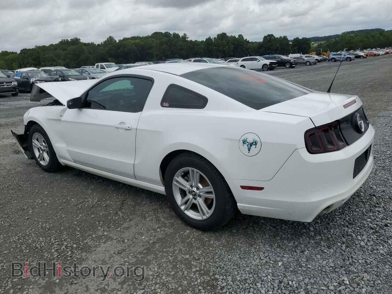 2014 FORD ALL Models - VIN: 1ZVBP8AM7E5273139 - Фото 2