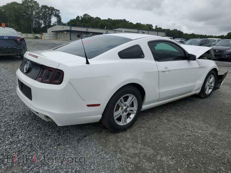 2014 Ford ALL MODELS (VIN 1ZVBP8AM7E5273139) — photo 3 of 12