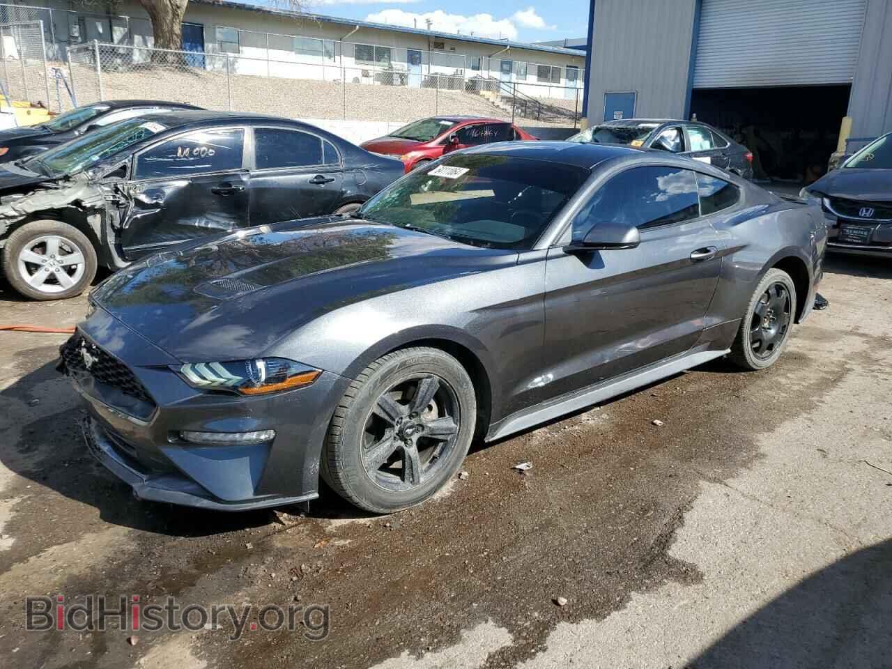 Фотография 1FA6P8TH7K5202366 - FORD ALL Models 2019