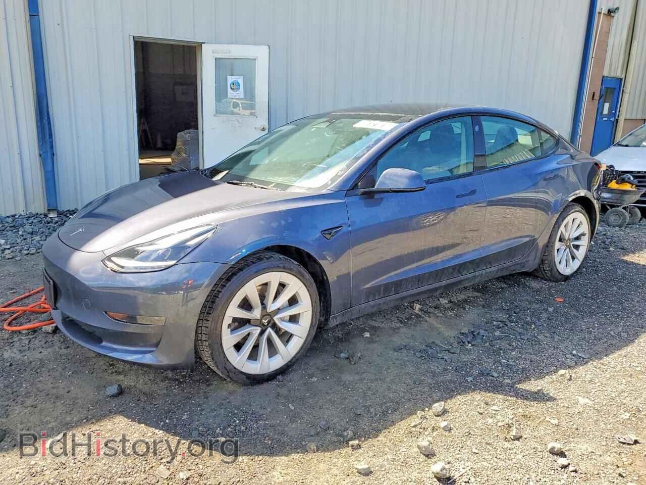 Фотография 5YJ3E1EA1PF435790 - TESLA MODEL 3 2023