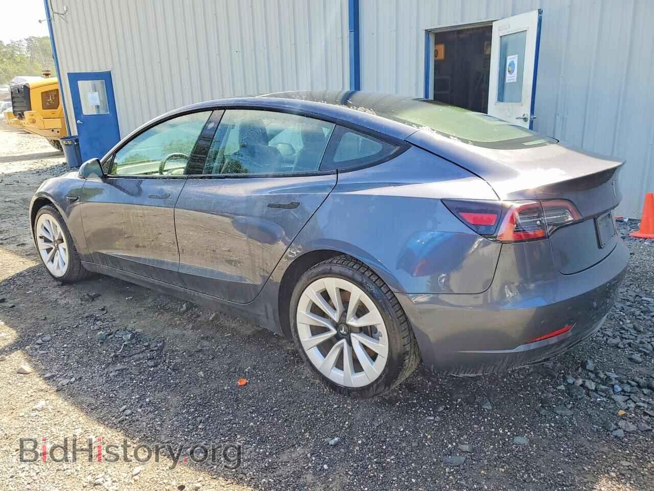2023 TESLA MODEL 3 - VIN: 5YJ3E1EA1PF435790 - Фото 2