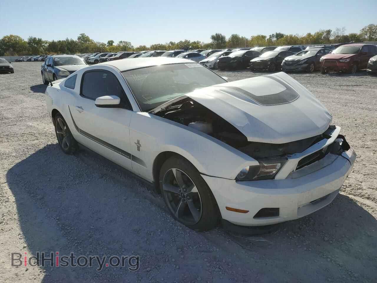 Фотография 1ZVBP8AM7B5122488 - FORD MUSTANG 2011