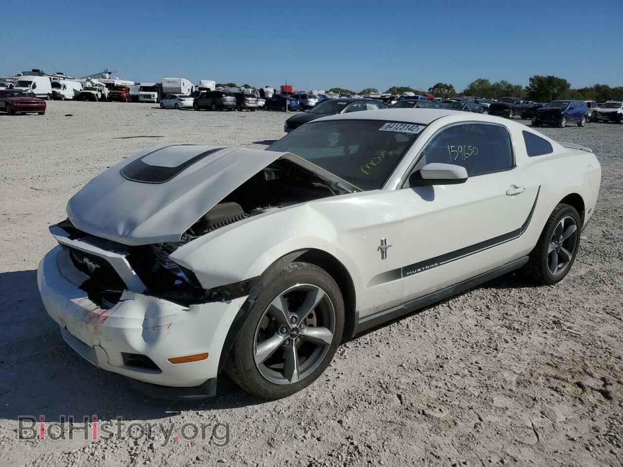 2011 FORD MUSTANG - VIN: 1ZVBP8AM7B5122488 - Фото 2