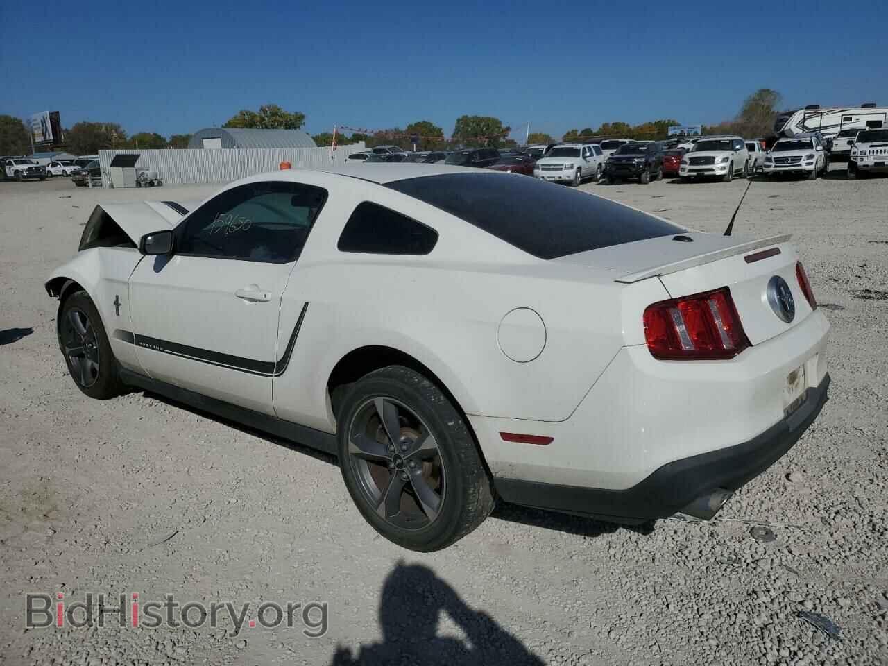 2011 FORD MUSTANG - VIN: 1ZVBP8AM7B5122488 - Фото 3