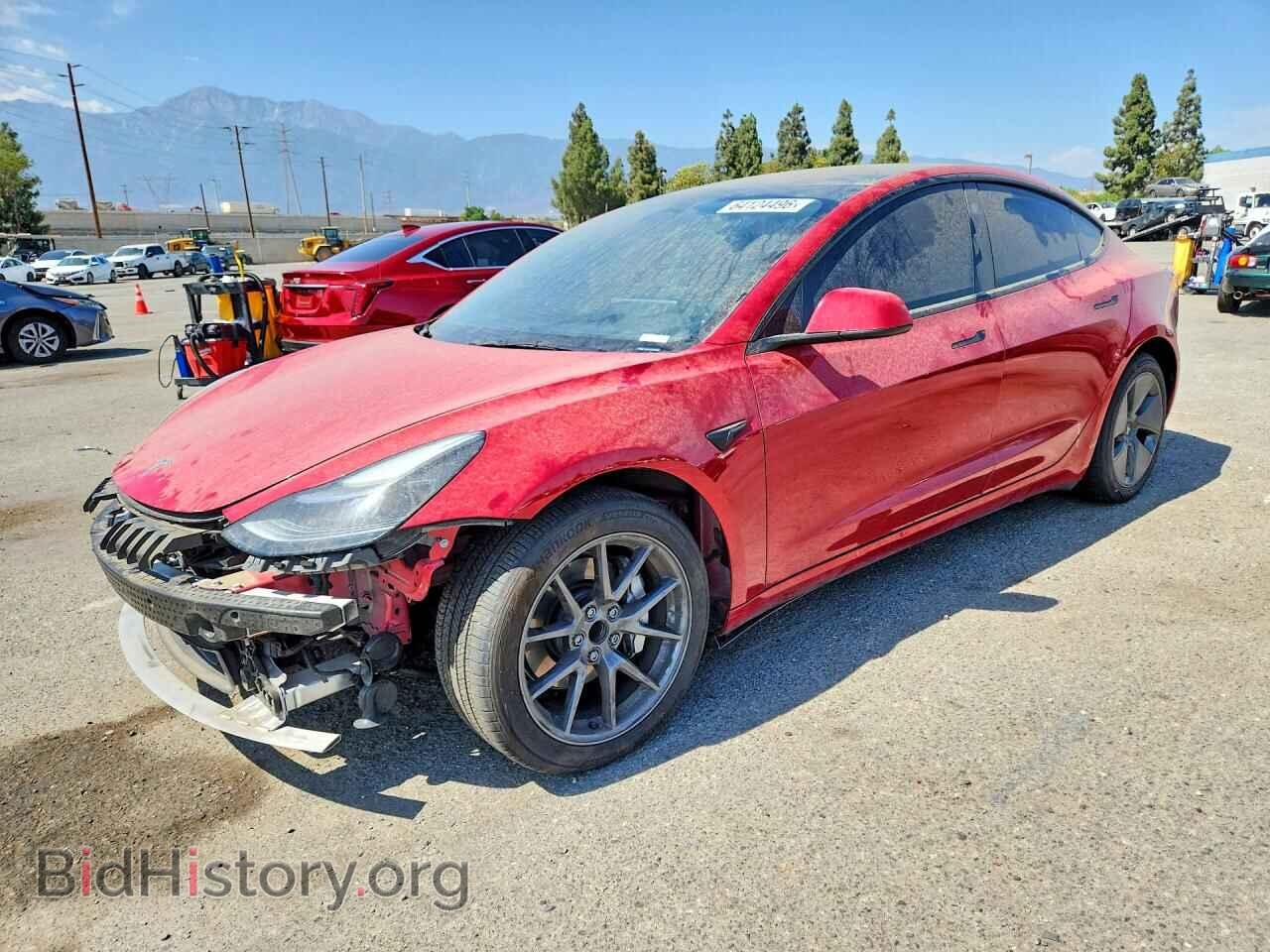 Photo 5YJ3E1EA3PF615899 - TESLA MODEL 3 2023