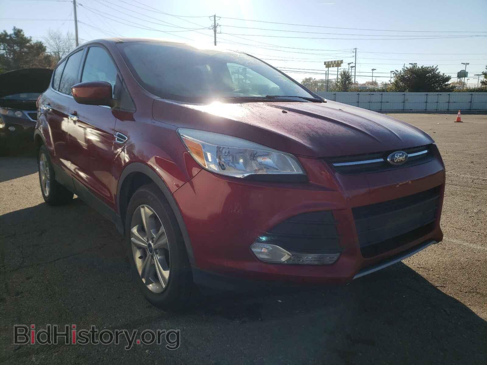 Фотография 1FMCU0GXXDUB80554 - FORD ESCAPE 2013