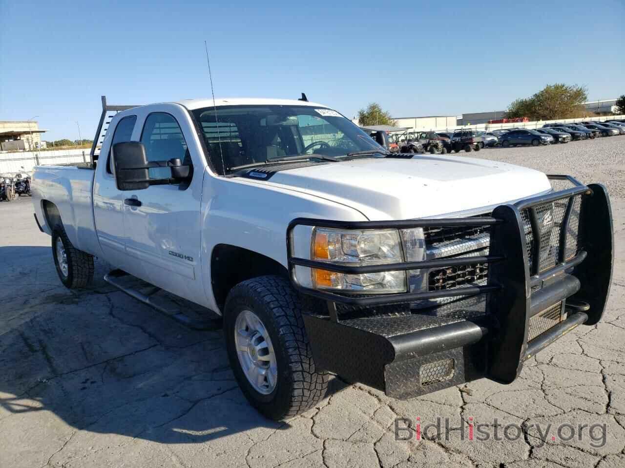 Photo 1GC5KXBG0AZ246367 - CHEVROLET SILVERADO 2010