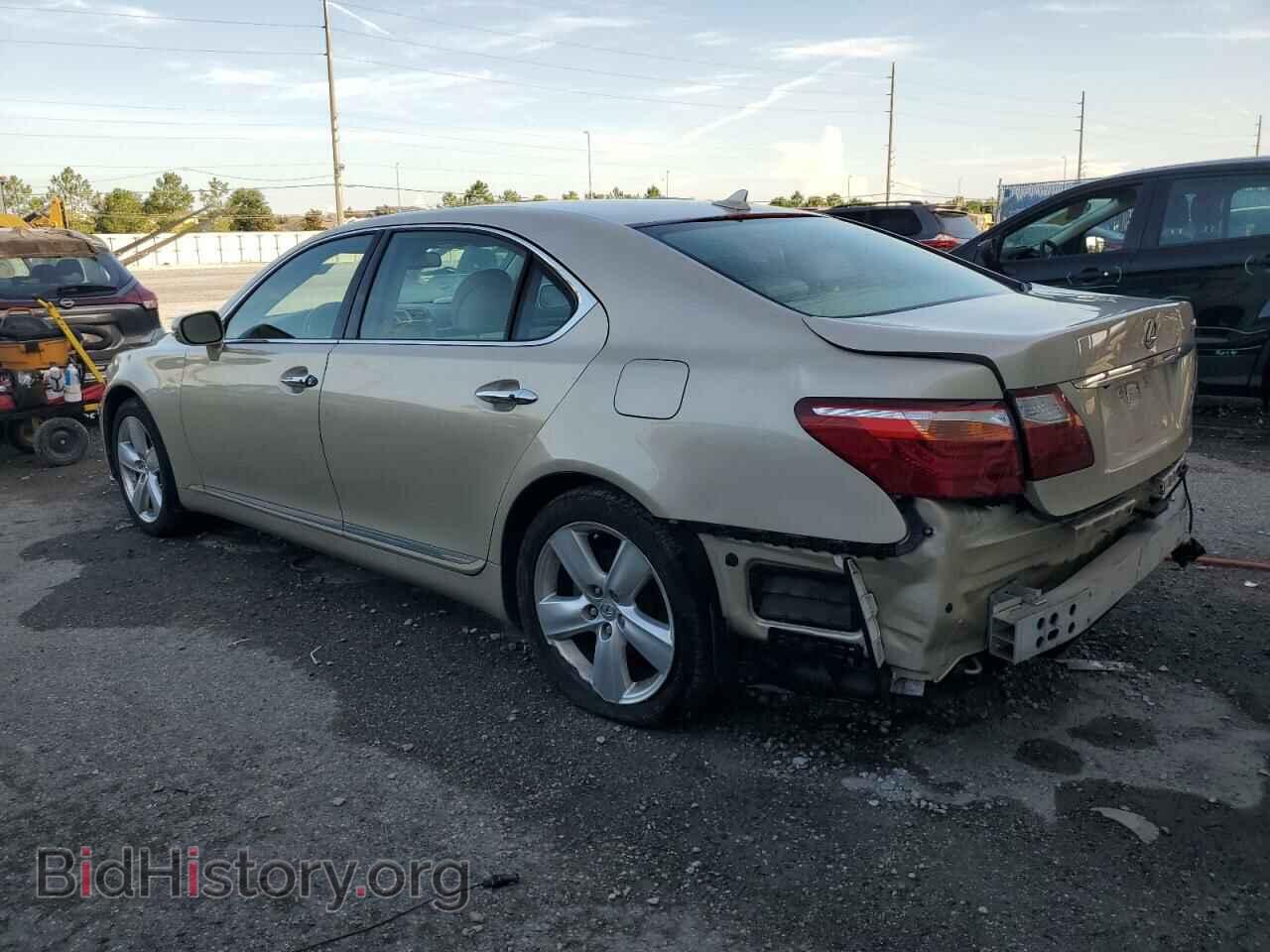 2011 LEXUS LS460 - VIN: JTHGL5EF3B5043462 - Фото 2