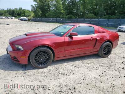 2014 Ford ALL MODELS, red — VIN 1ZVBP8AM8E5202337, Copart