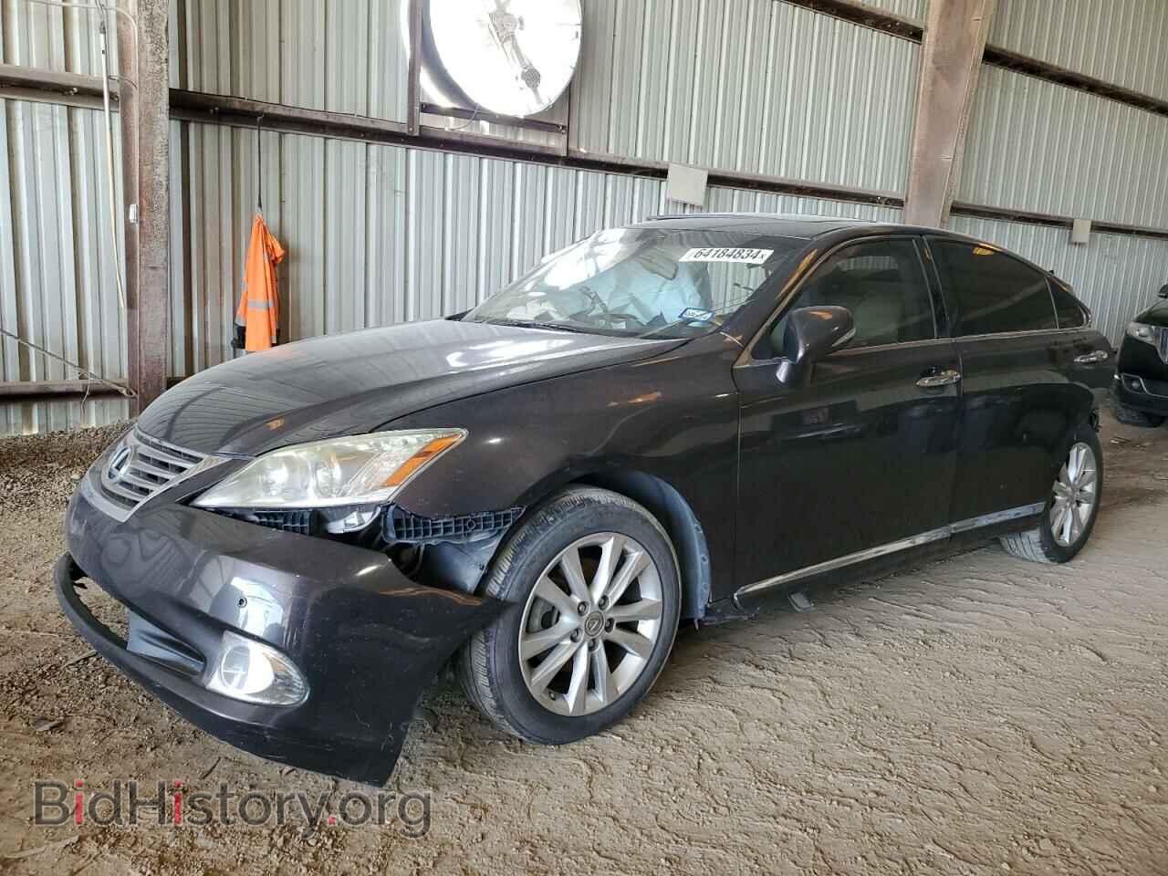 2011 LEXUS ES350 - VIN: JTHBK1EG4B2425533 - Фото 2