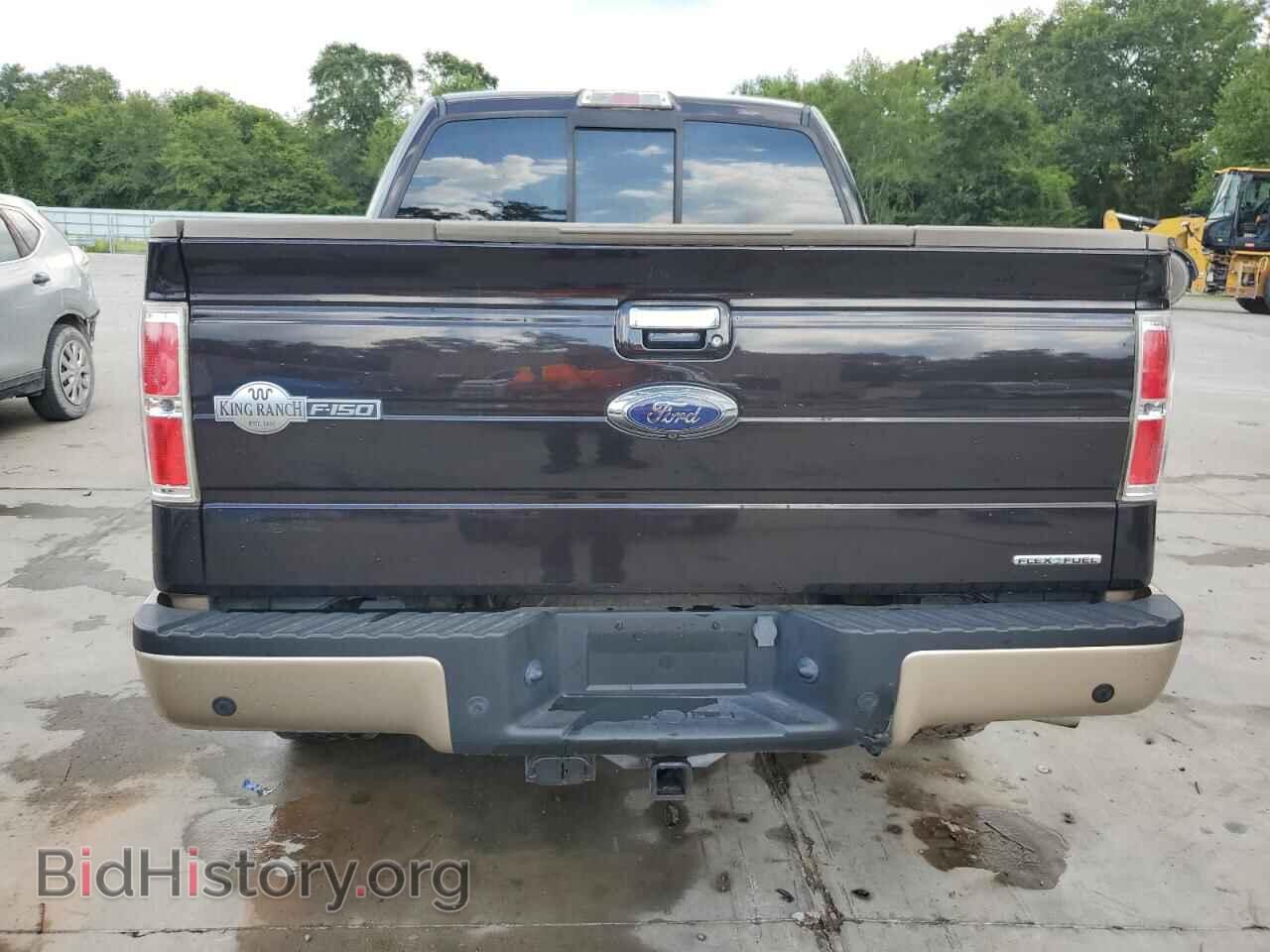2013 FORD F-150 - VIN: 1FTFW1EF6DKF29863 - Фото 6