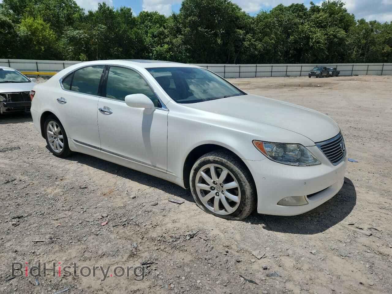 2009 LEXUS LS460 - VIN: JTHBL46F095090283 - Фото 4