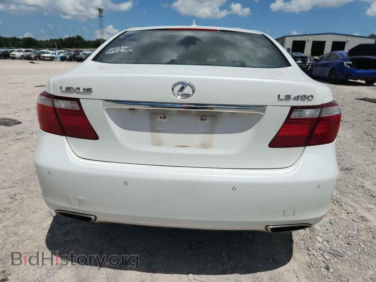2009 LEXUS LS460 - VIN: JTHBL46F095090283 - Фото 6