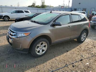 2014 Ford EDGE SEL, gold — VIN 2FMDK4JC5EBB61845, Copart