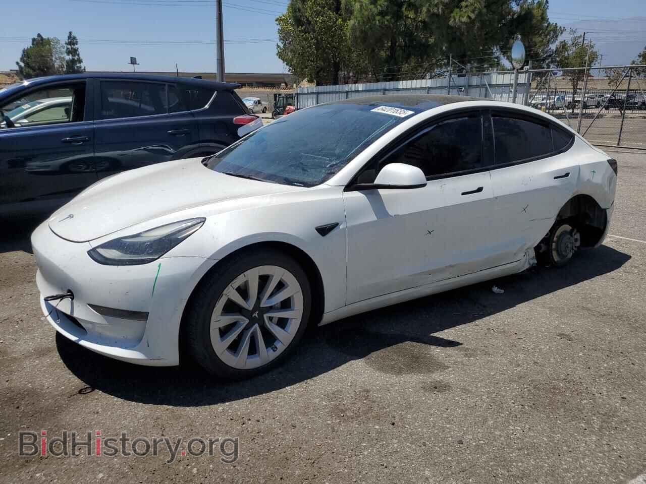 Фотография 5YJ3E1EA4PF464345 - TESLA MODEL 3 2023