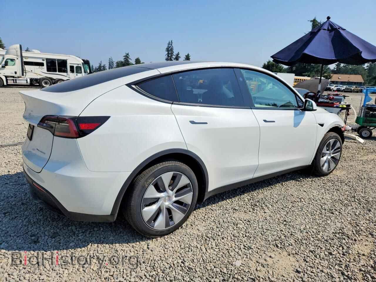 2024 TESLA MODEL Y - VIN: 7SAYGDEE3RF075495 - Фото 3