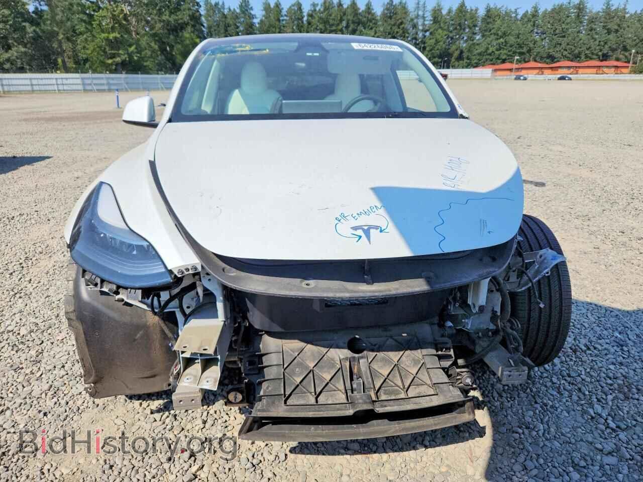 2024 TESLA MODEL Y - VIN: 7SAYGDEE3RF075495 - Фото 5