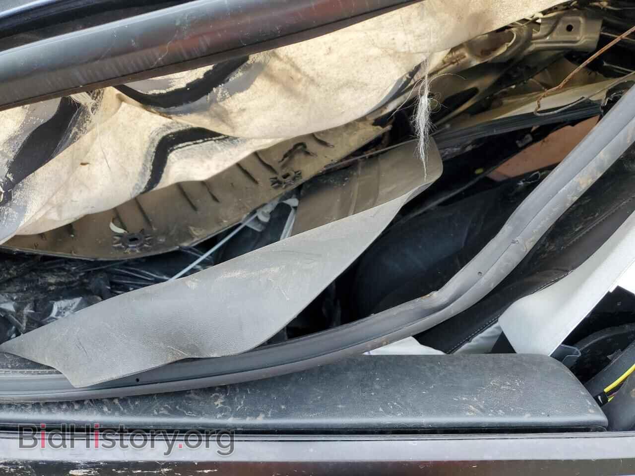 2024 TESLA MODEL Y - VIN: 7SAYGDED7RF095594 - Photo 7