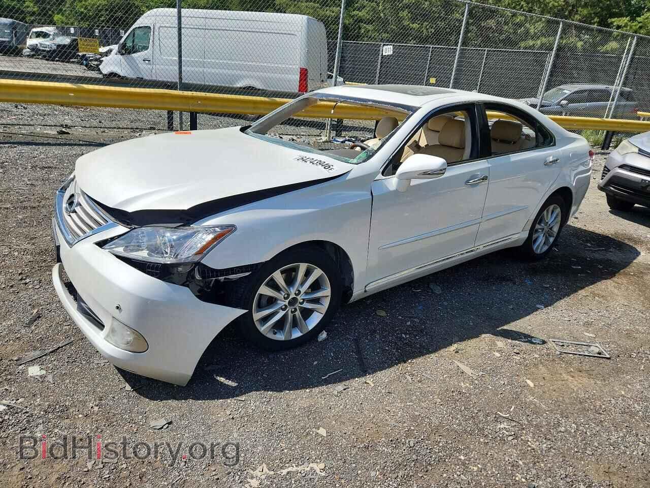 Фотография JTHBK1EG6C2479434 - LEXUS ES350 2012