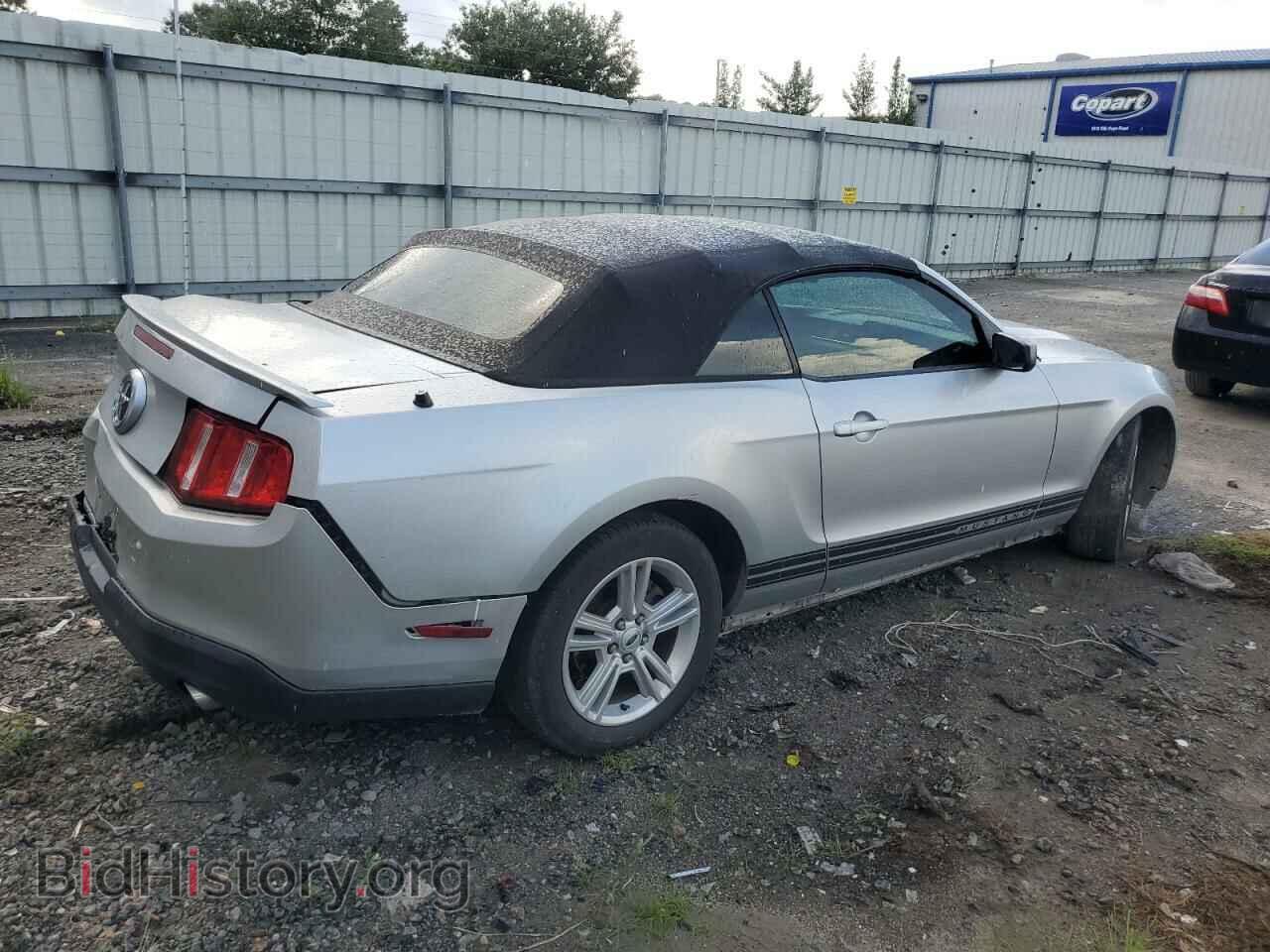 2010 FORD ALL Models - VIN: 1ZVBP8EN8A5150009 - Фото 3