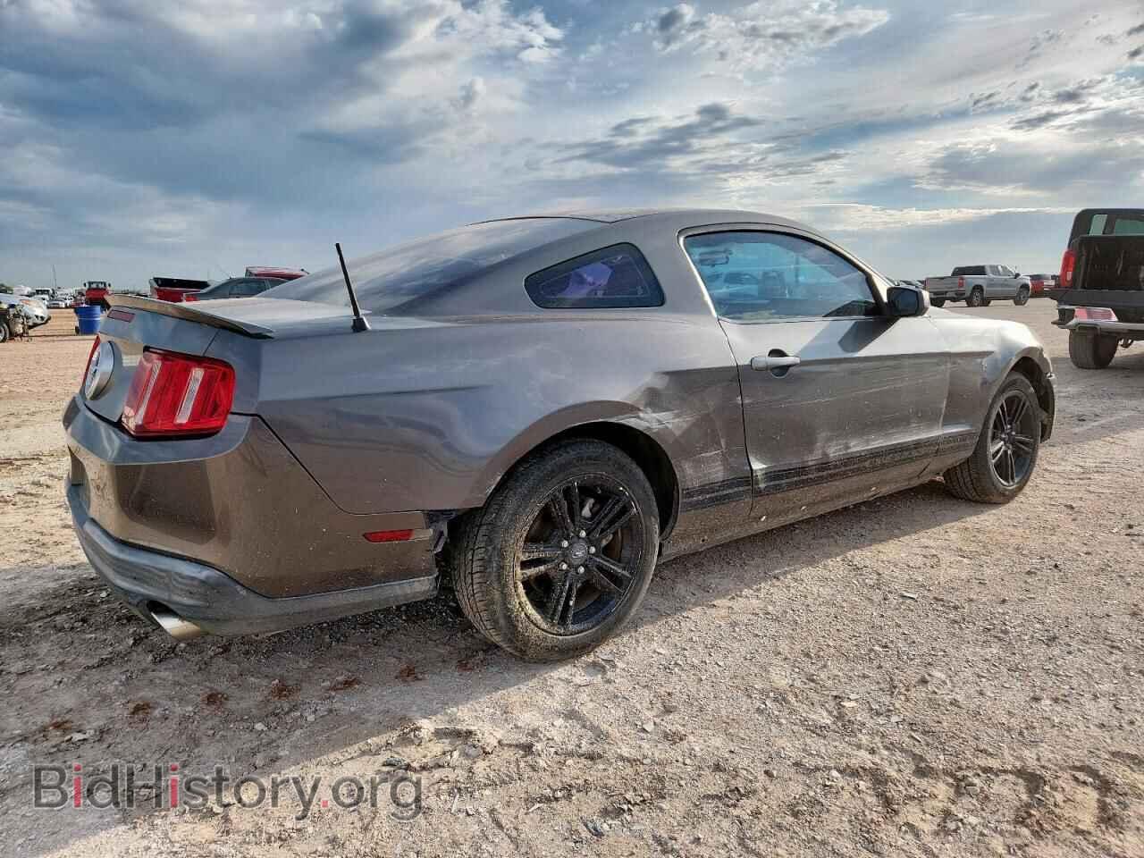 2010 FORD ALL Models - VIN: 1ZVBP8AN9A5120684 - Фото 3
