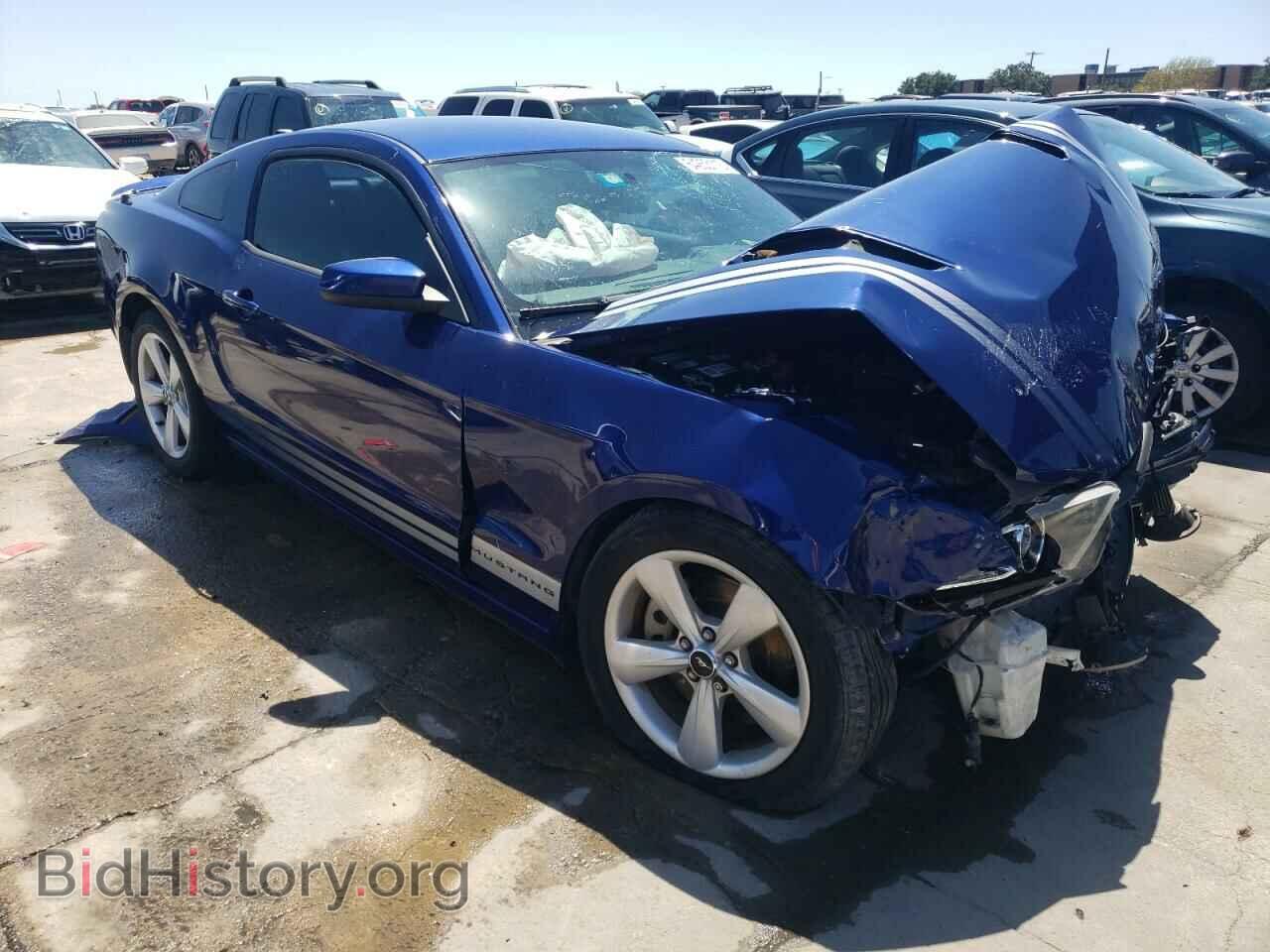 2014 FORD MUSTANG - VIN: 1ZVBP8CF4E5228769 - Фото 4