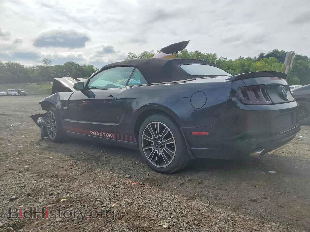 2013 FORD MUSTANG - VIN: 1ZVBP8FF7D5254132 - Photo 2