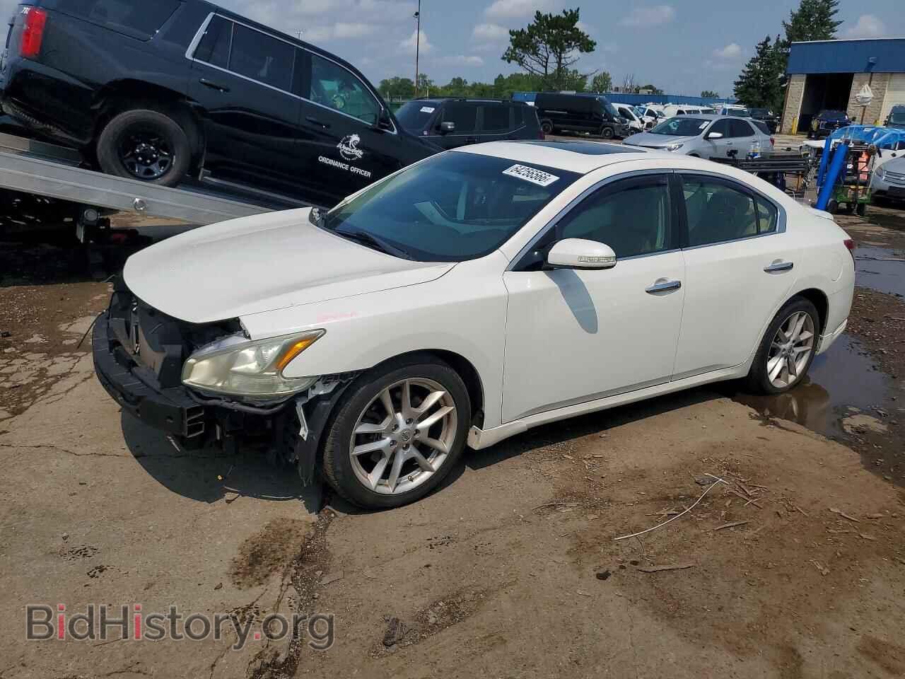 Photo 1N4AA5AP2BC868955 - NISSAN MAXIMA 2011