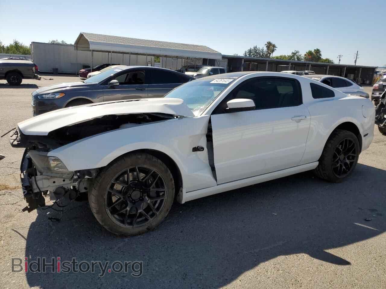 Фотография 1ZVBP8CF5D5251587 - FORD MUSTANG 2013